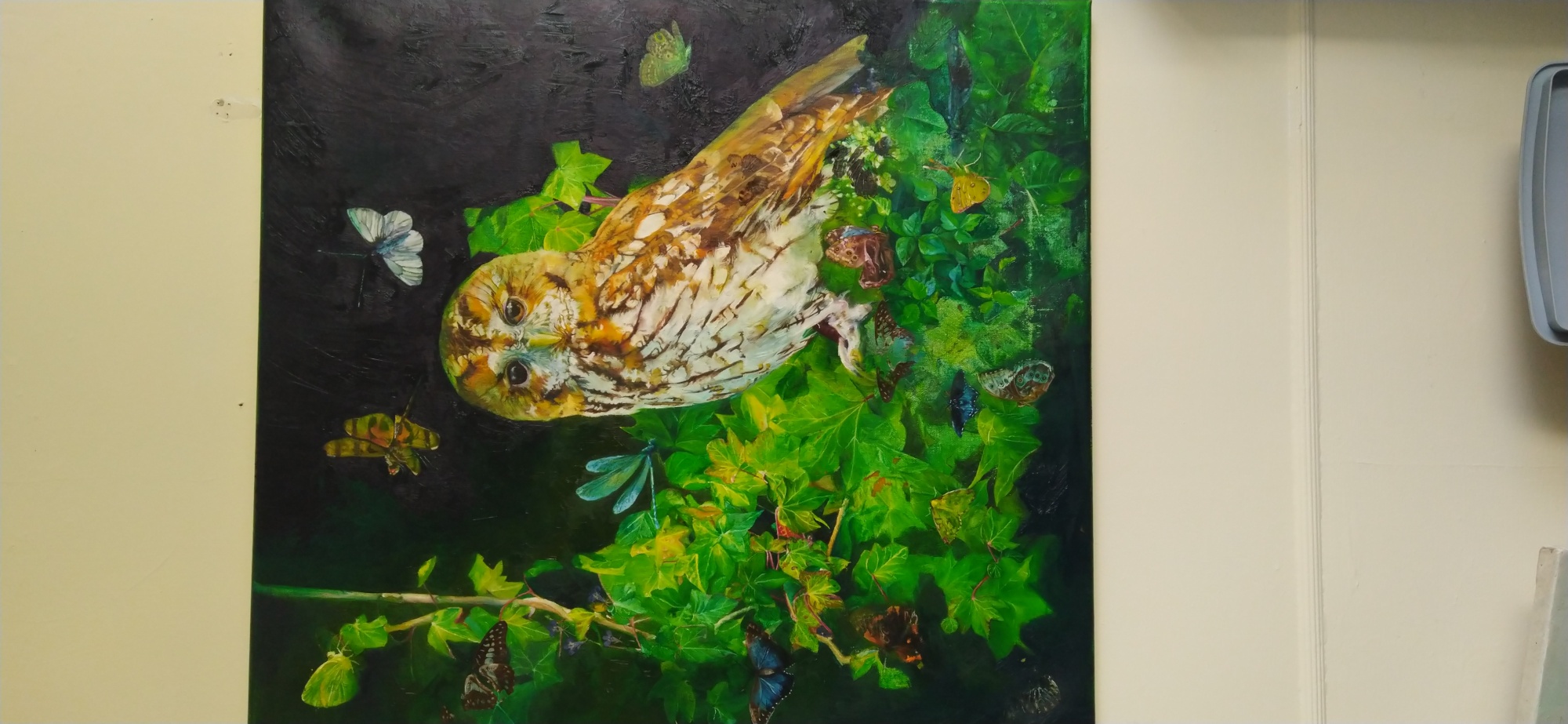 Owl image