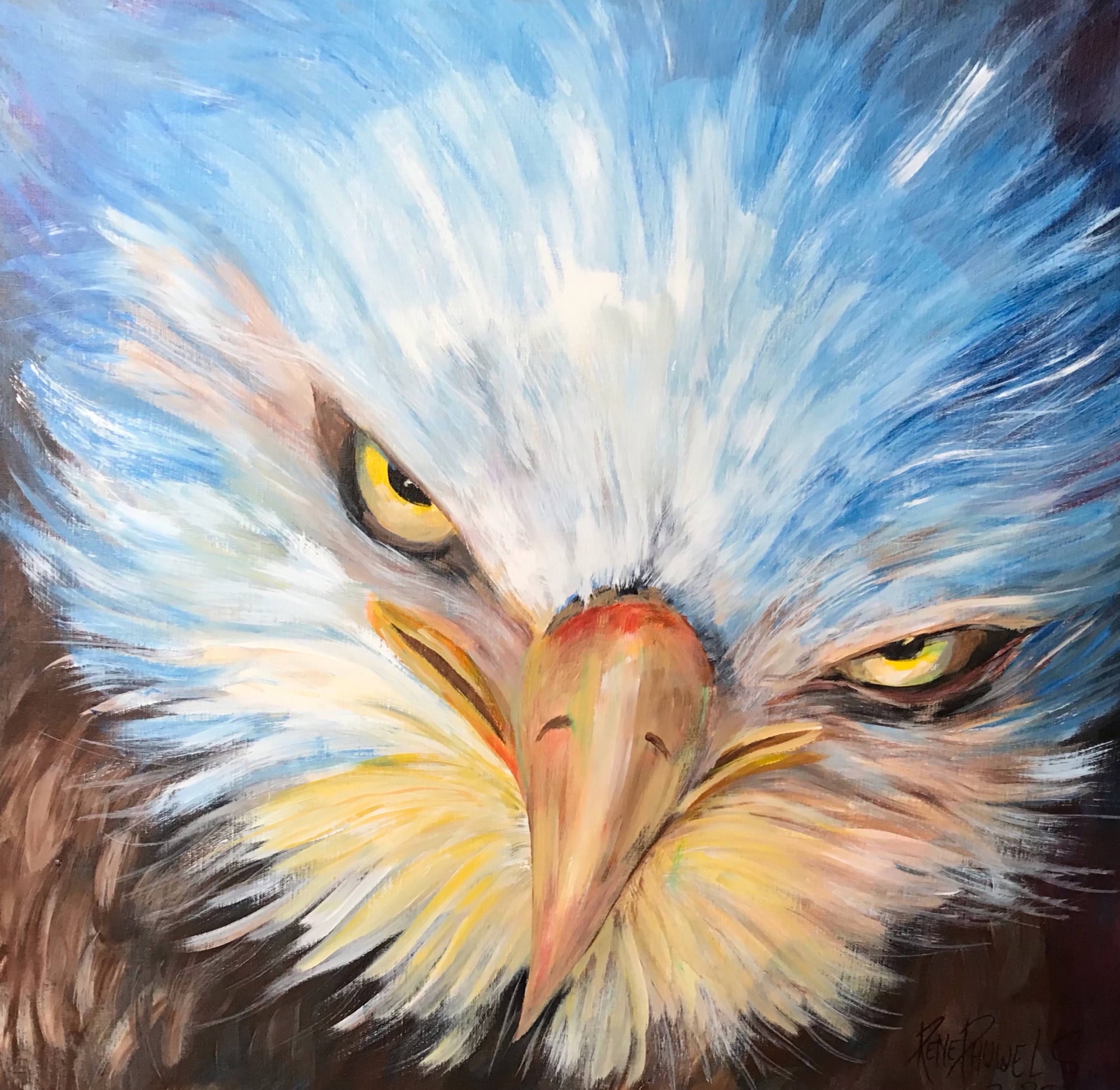 Eagle image