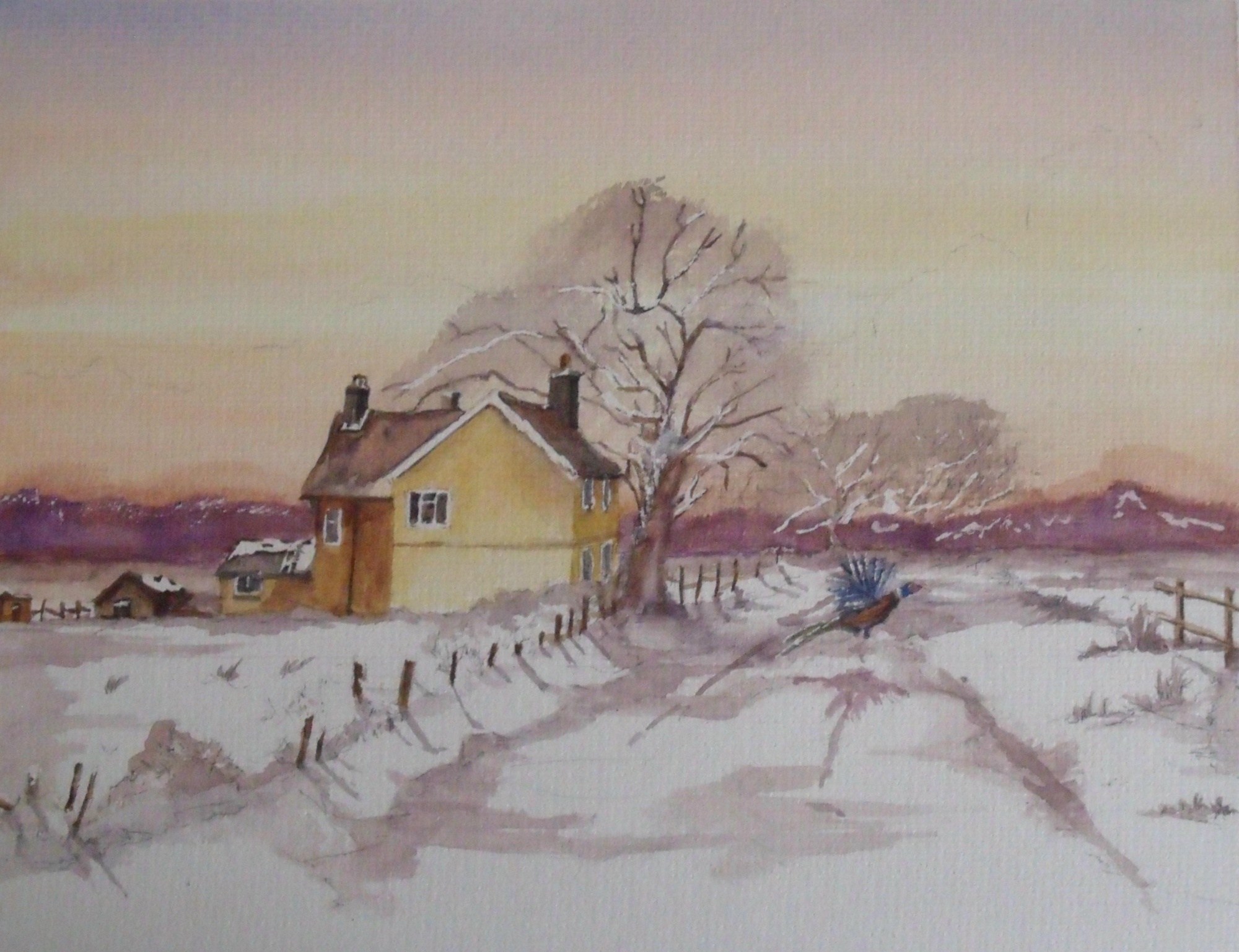 A Winter Flight image
