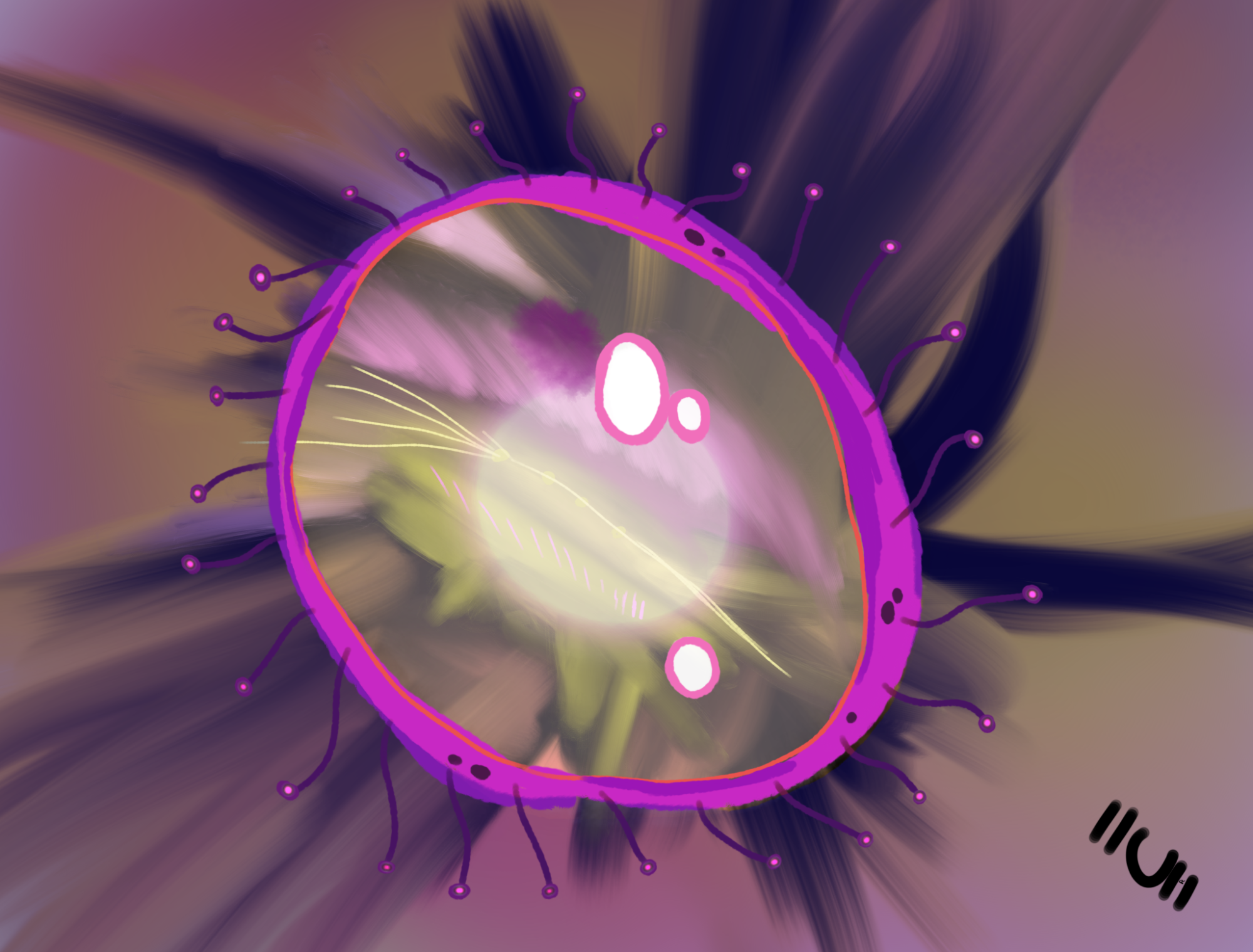 Virus image