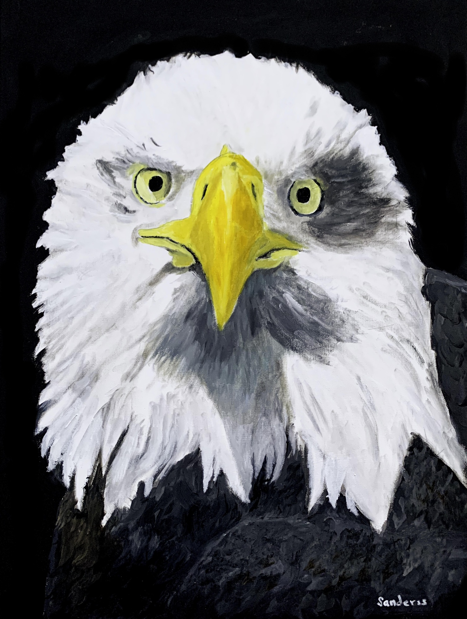 Bald Eagle image