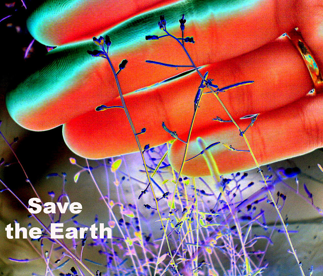 Save the world image