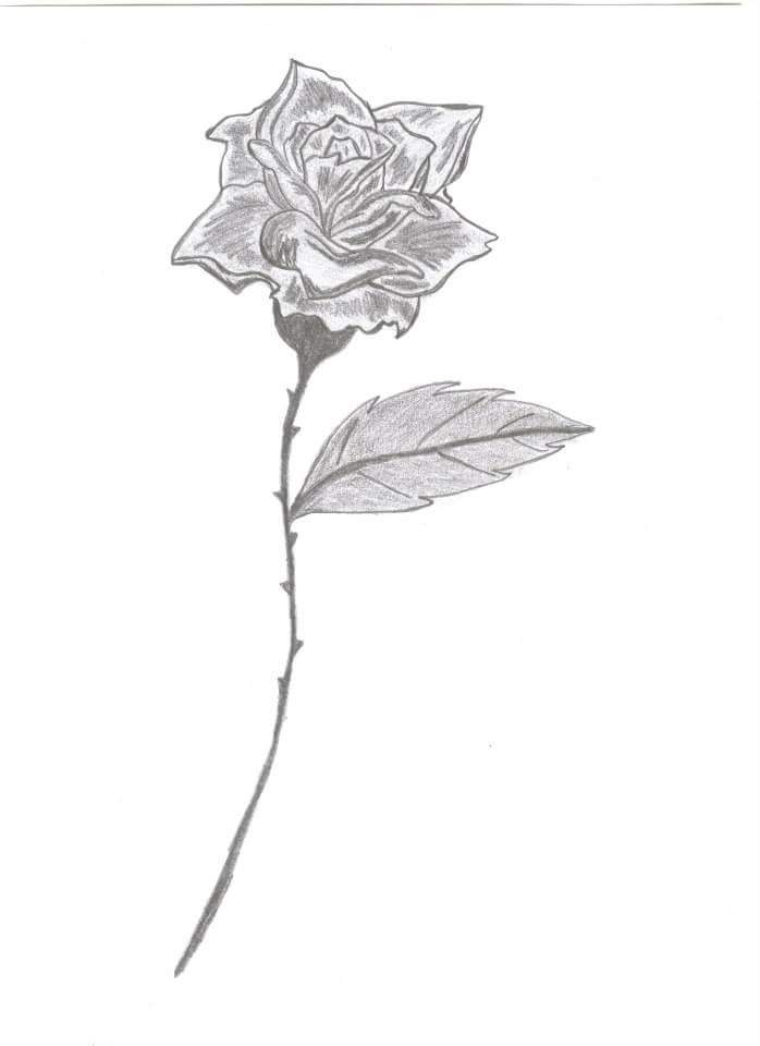 Ros image