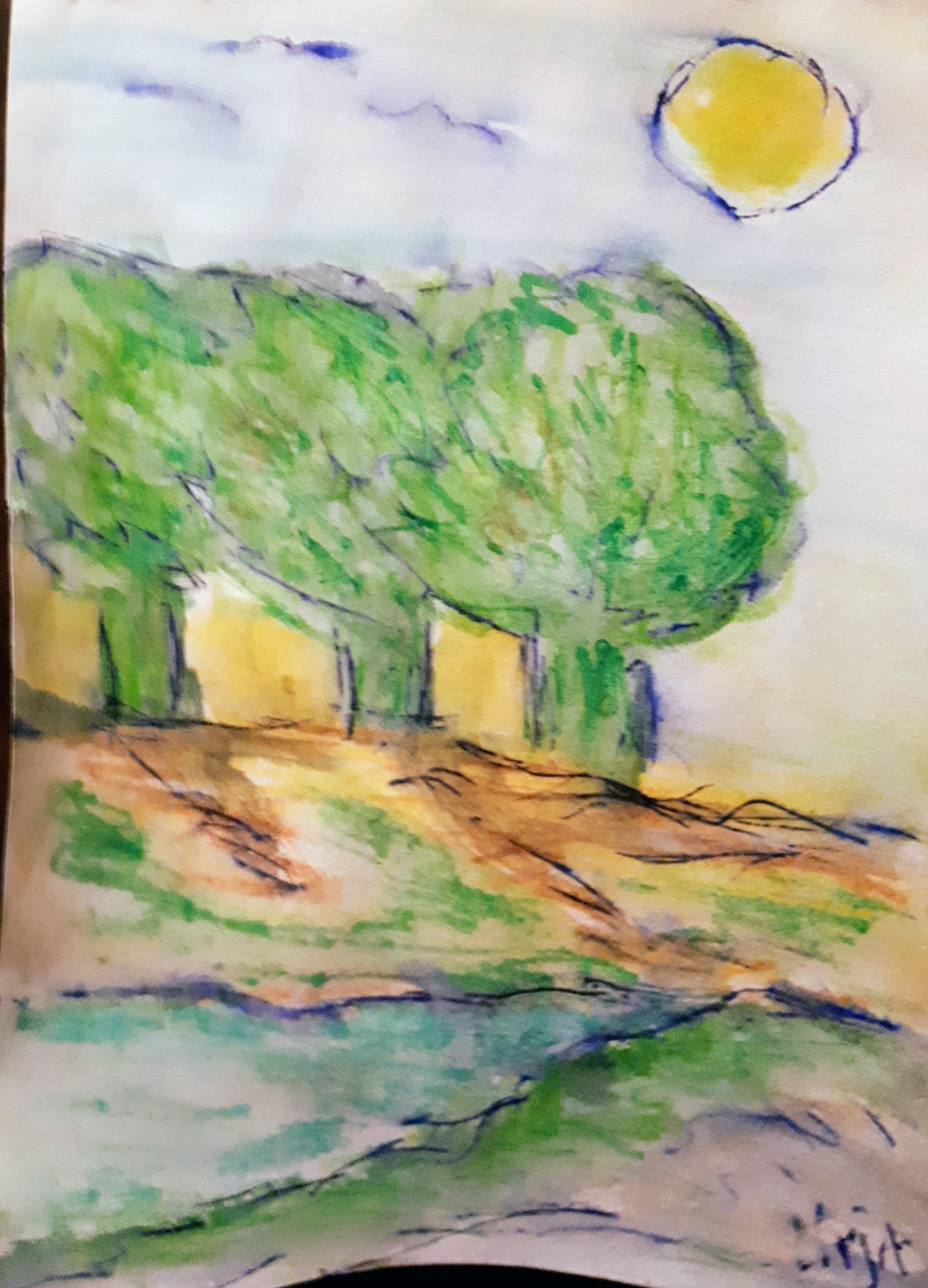 Trees in a row image