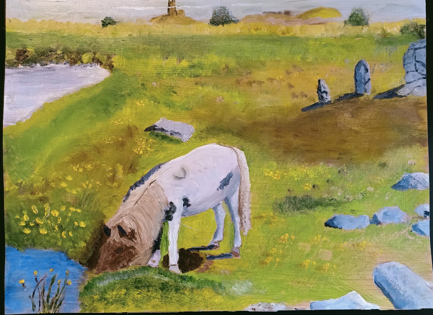 Dartmoor horse , drinking image