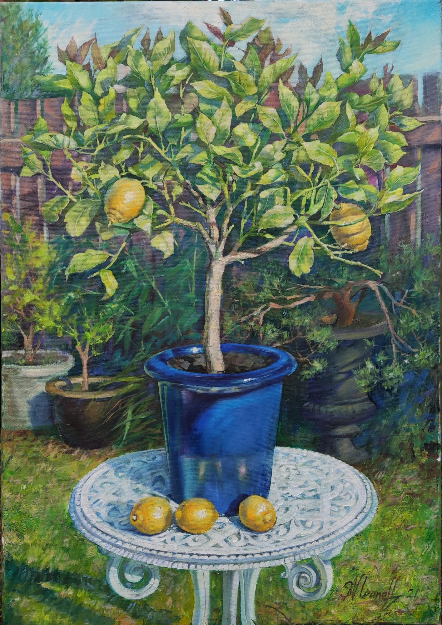 "Lemon tree of our garden" image