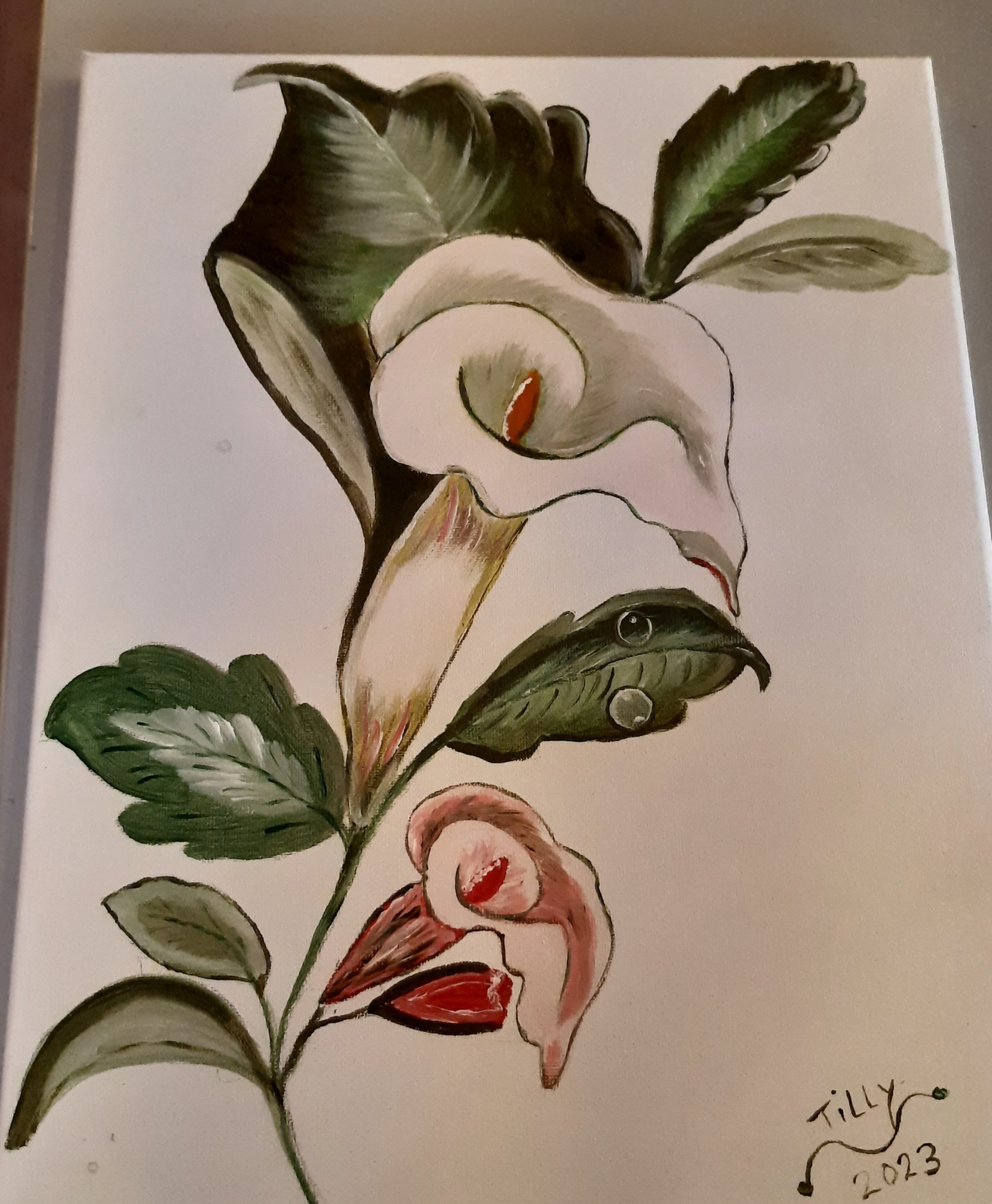 De Calla image