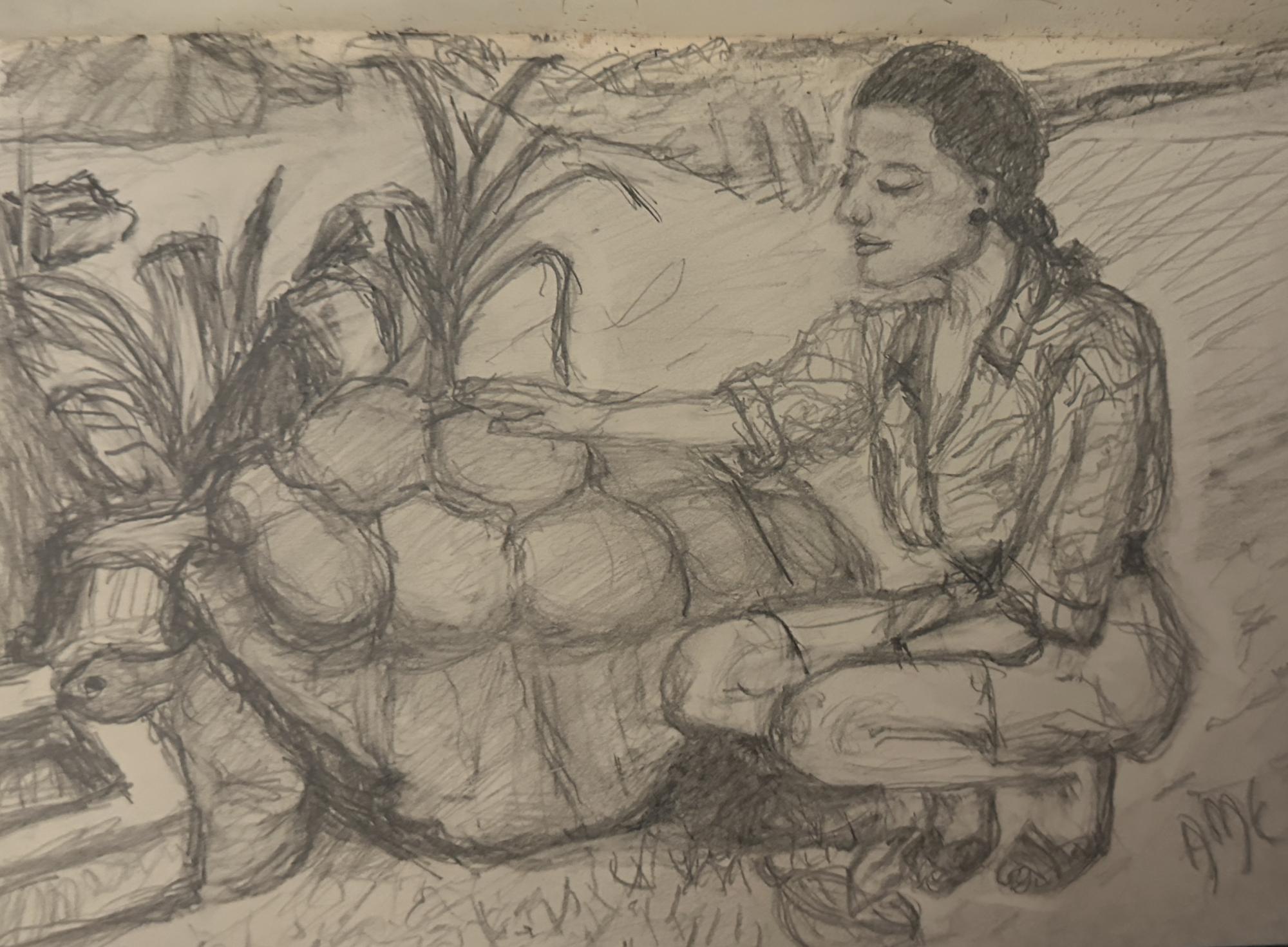 The Aldabra Tortoise image
