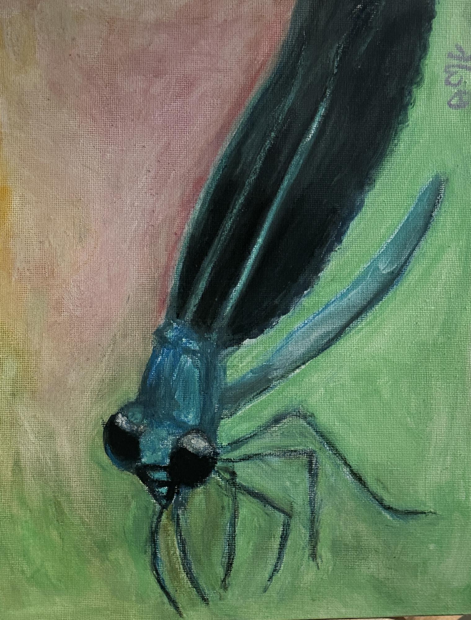 Dragon Fly image