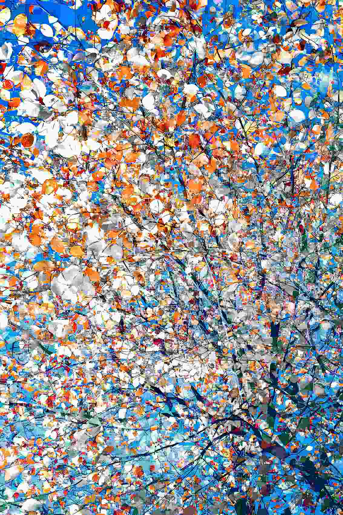 The movement of colors is the breath of the wind#5 image
