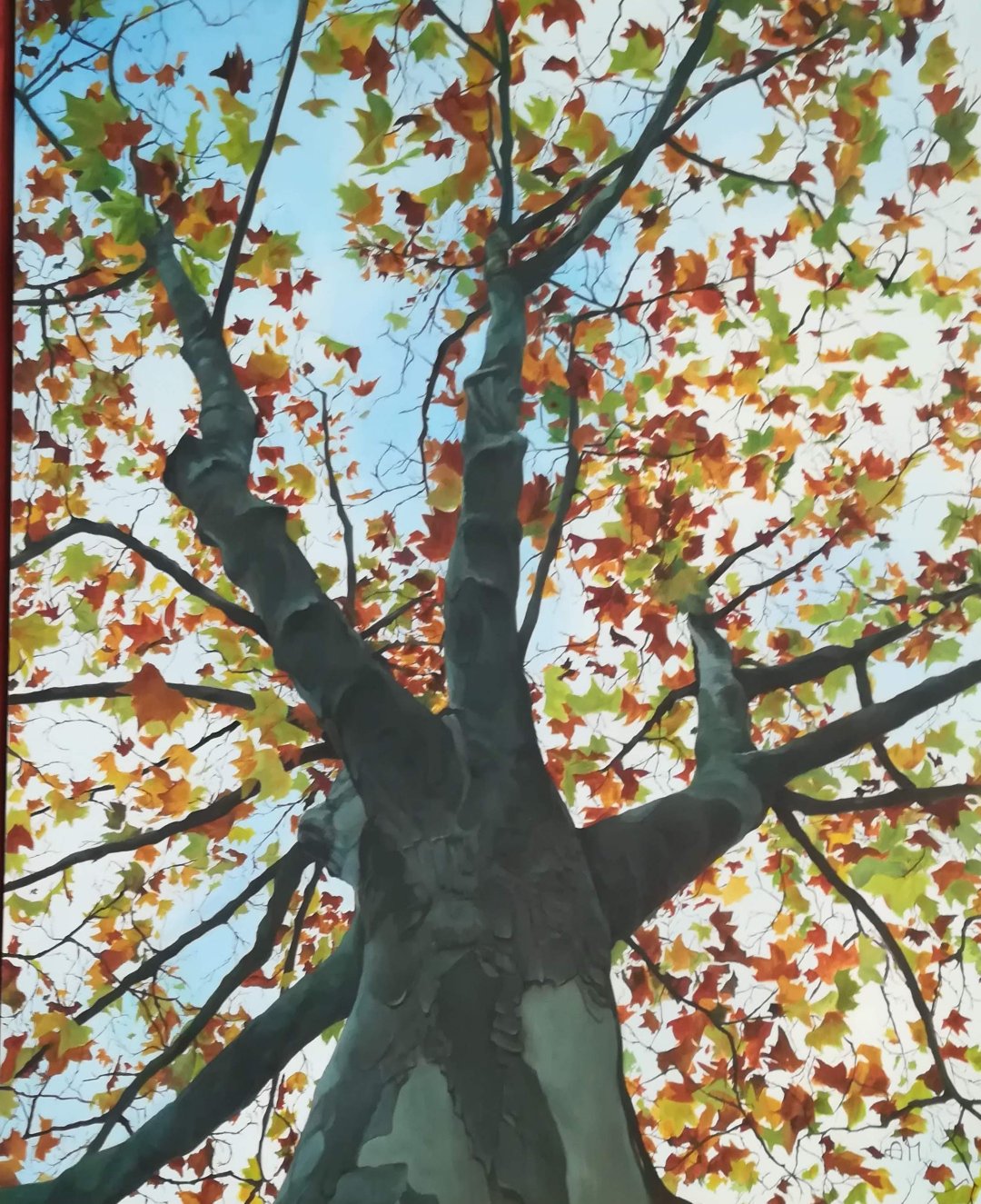 Herfst in Logrono image