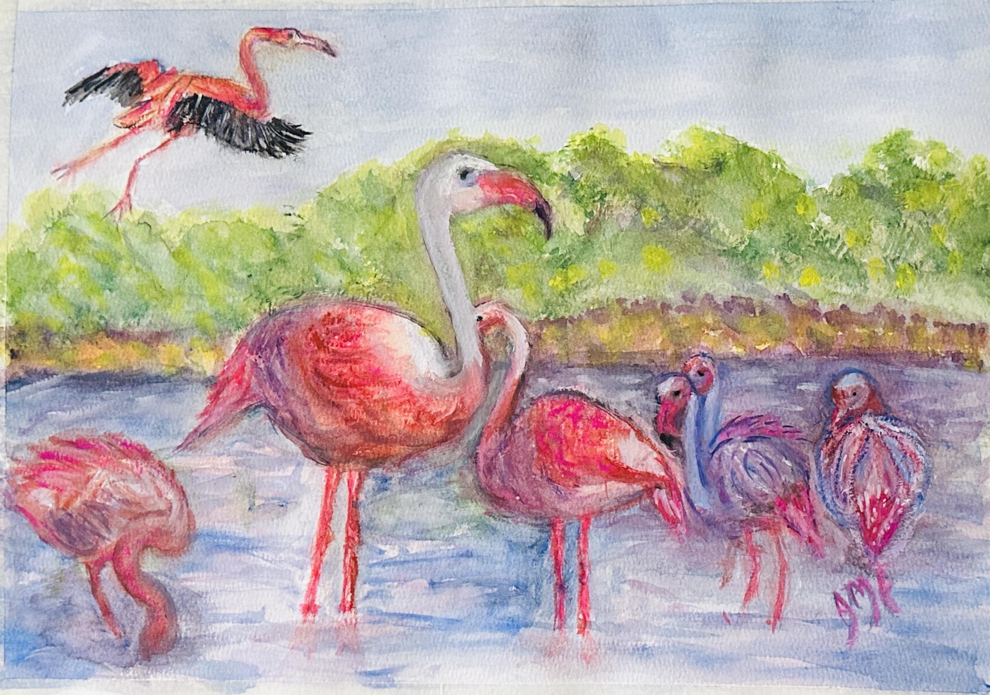 Flamingoes image