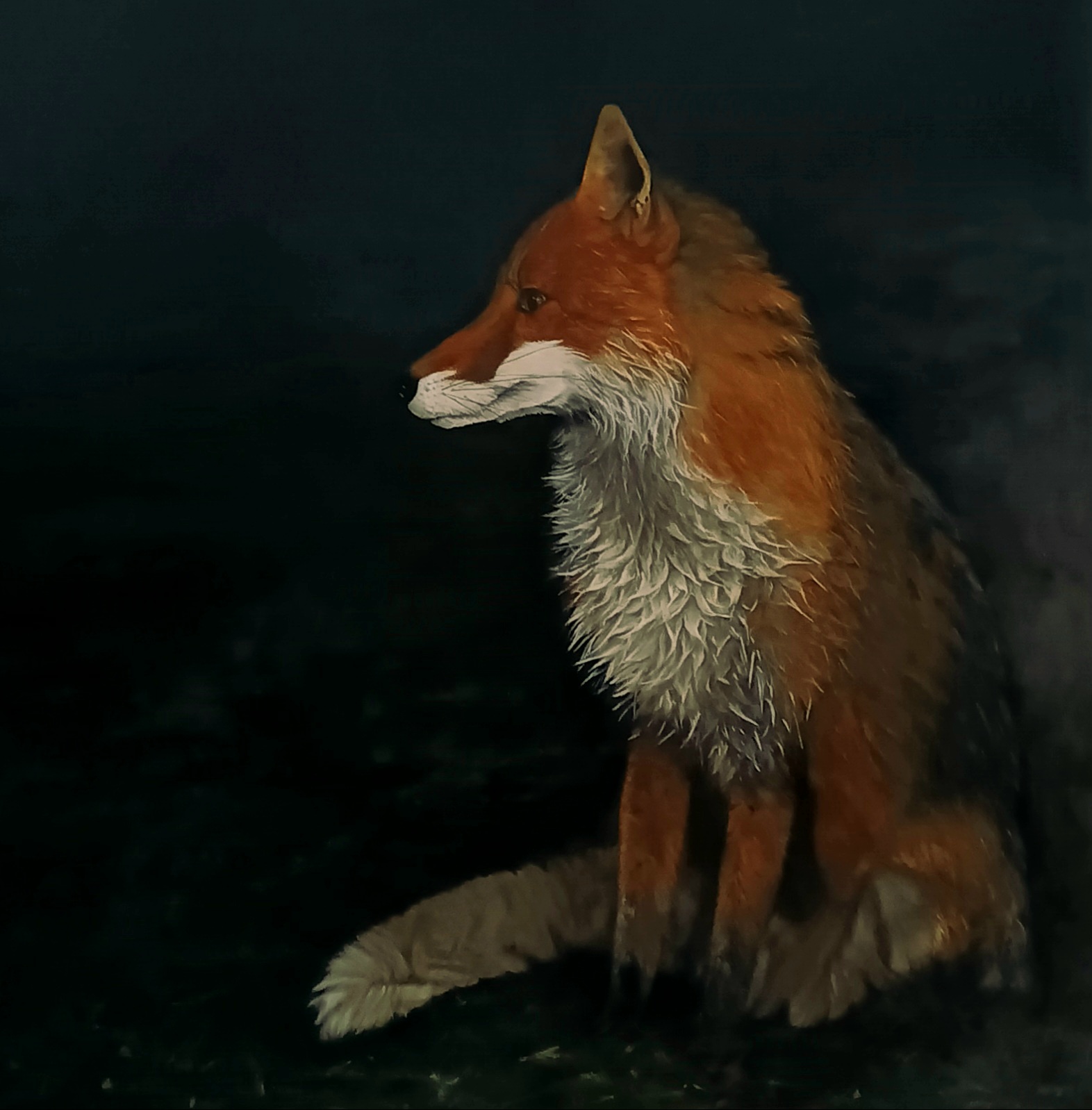Woodland fox image