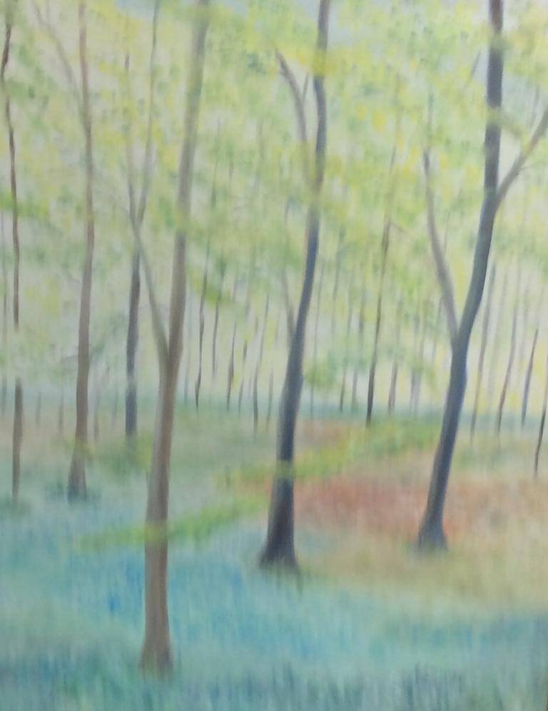 Het Hallerbos  image