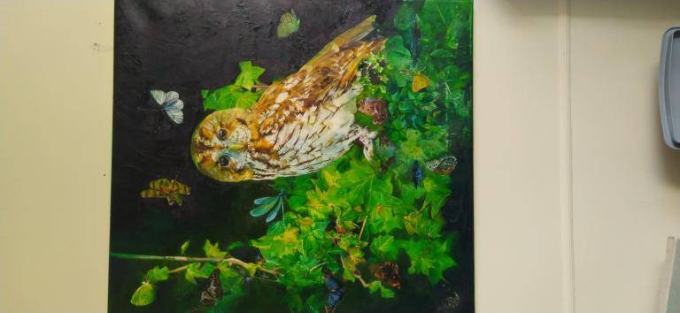 Owl image