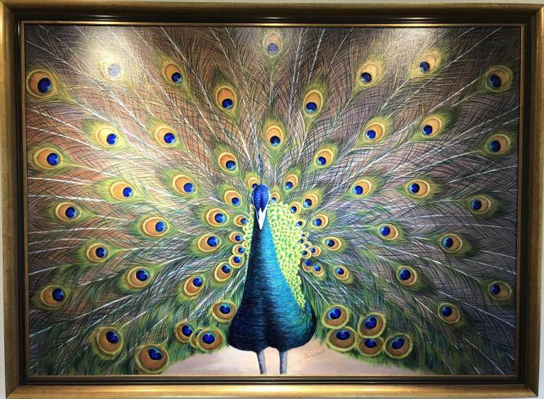 Blue Peacock image