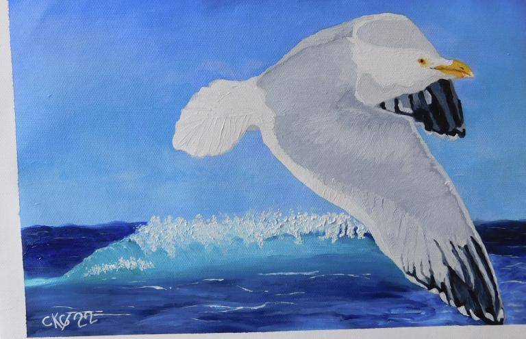 Herring Gull image