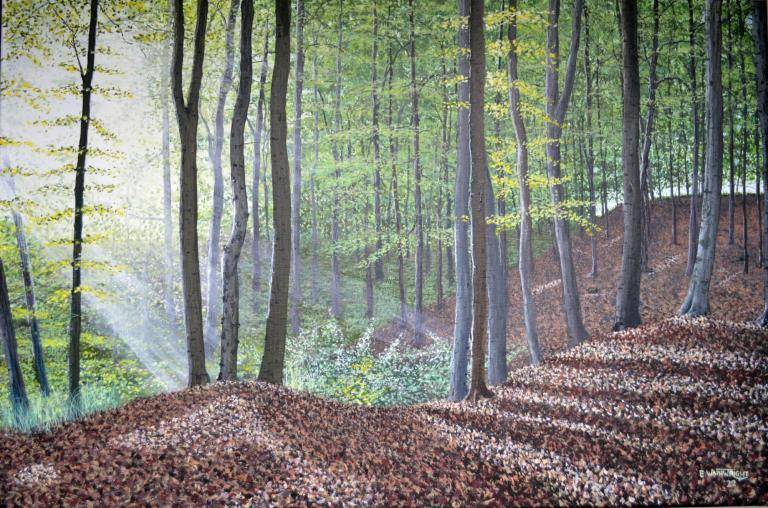 A Walk in the Woods image