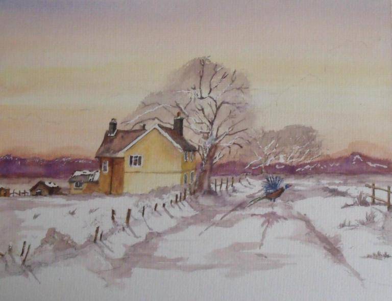 A Winter Flight image