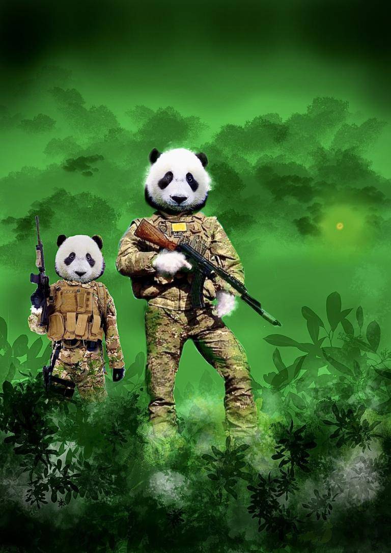 Panda Patrol image