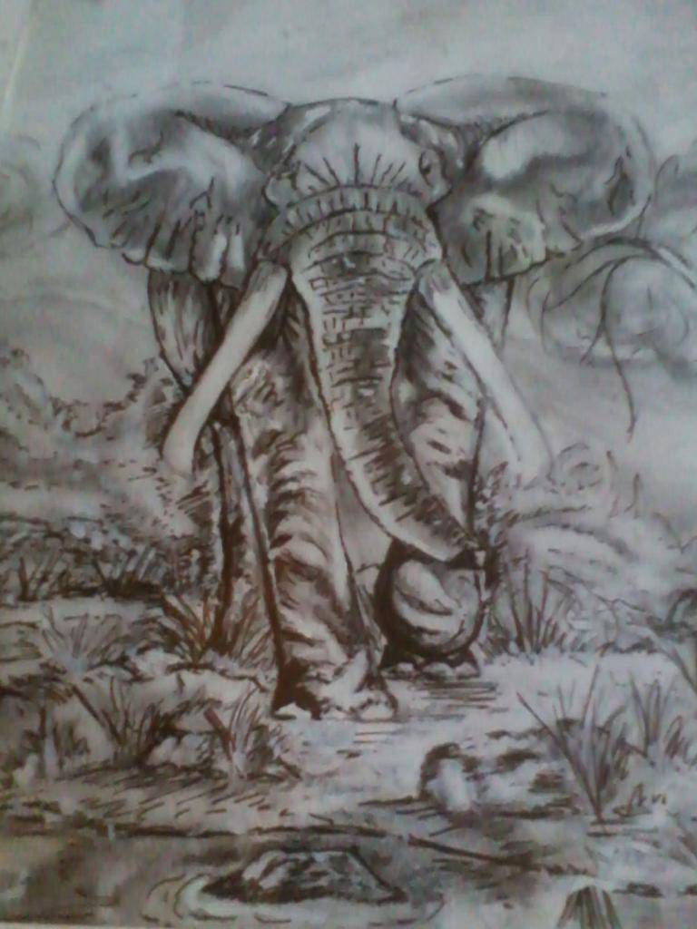 Elephant at water image
