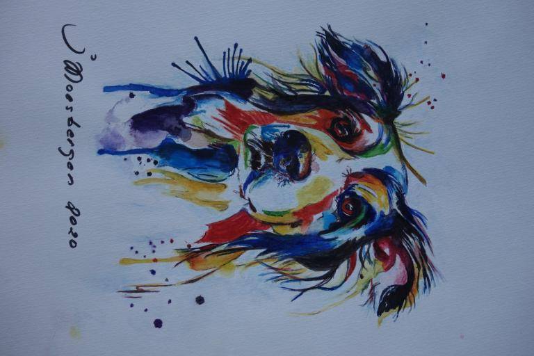 Dog image