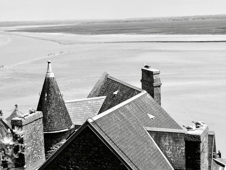 BIRD'S VIEW image