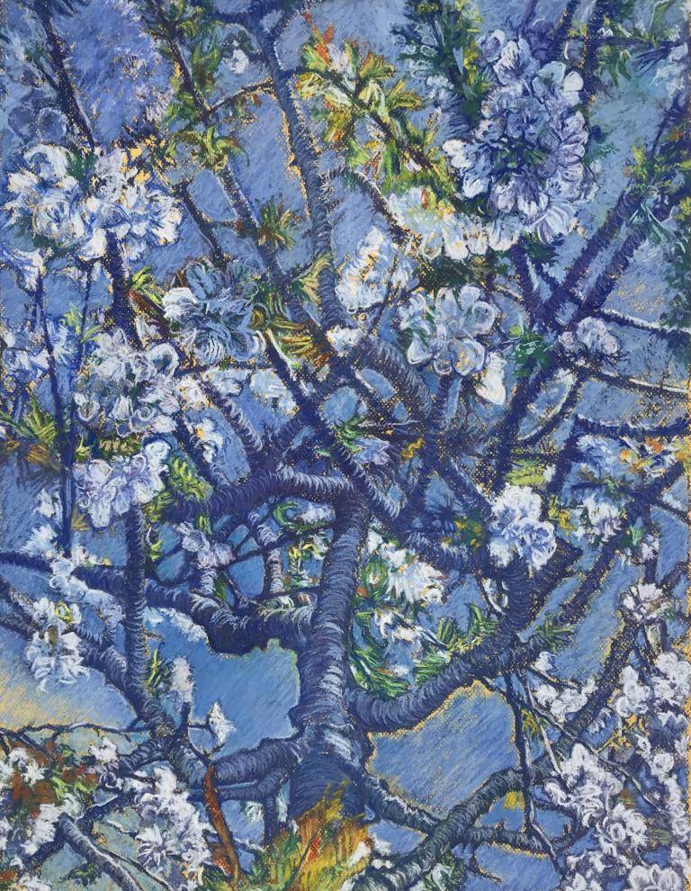 Wild Cherry Tree Blossom 1 image