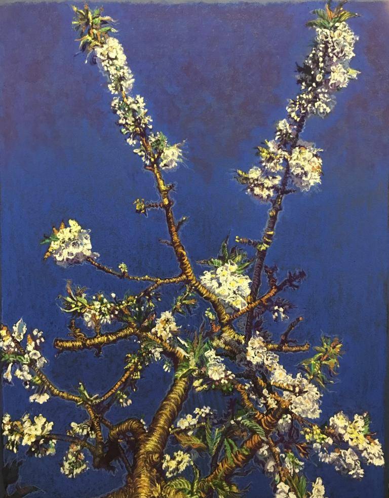 Wild Cherry Tree Blossom 4 image