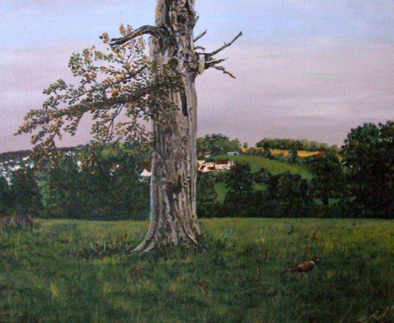 The Lightning Tree image