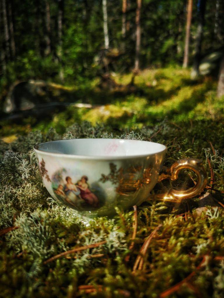 A CUP OF NATURE image