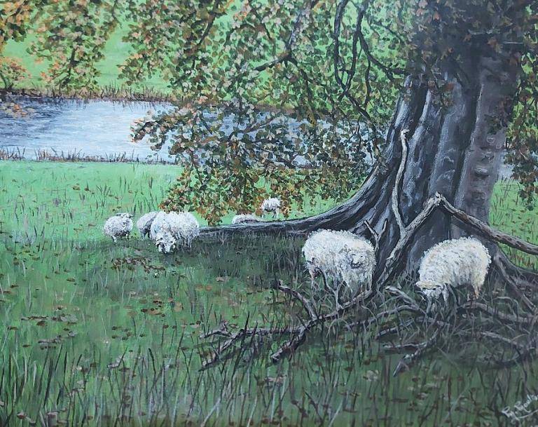 Sheep in Shobrooke Park, Crediton, Devon. Sheep in Shobrooke Park, Crediton, Devon. image