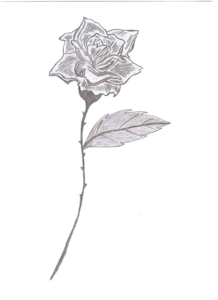 Ros image