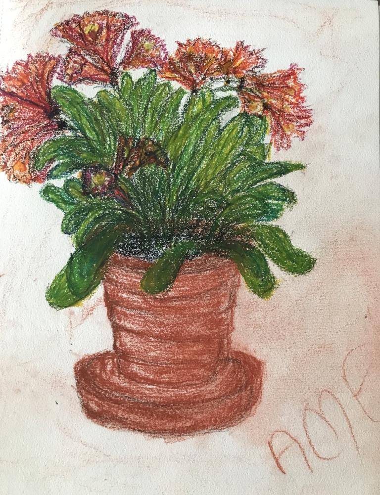 Flowering Pot image