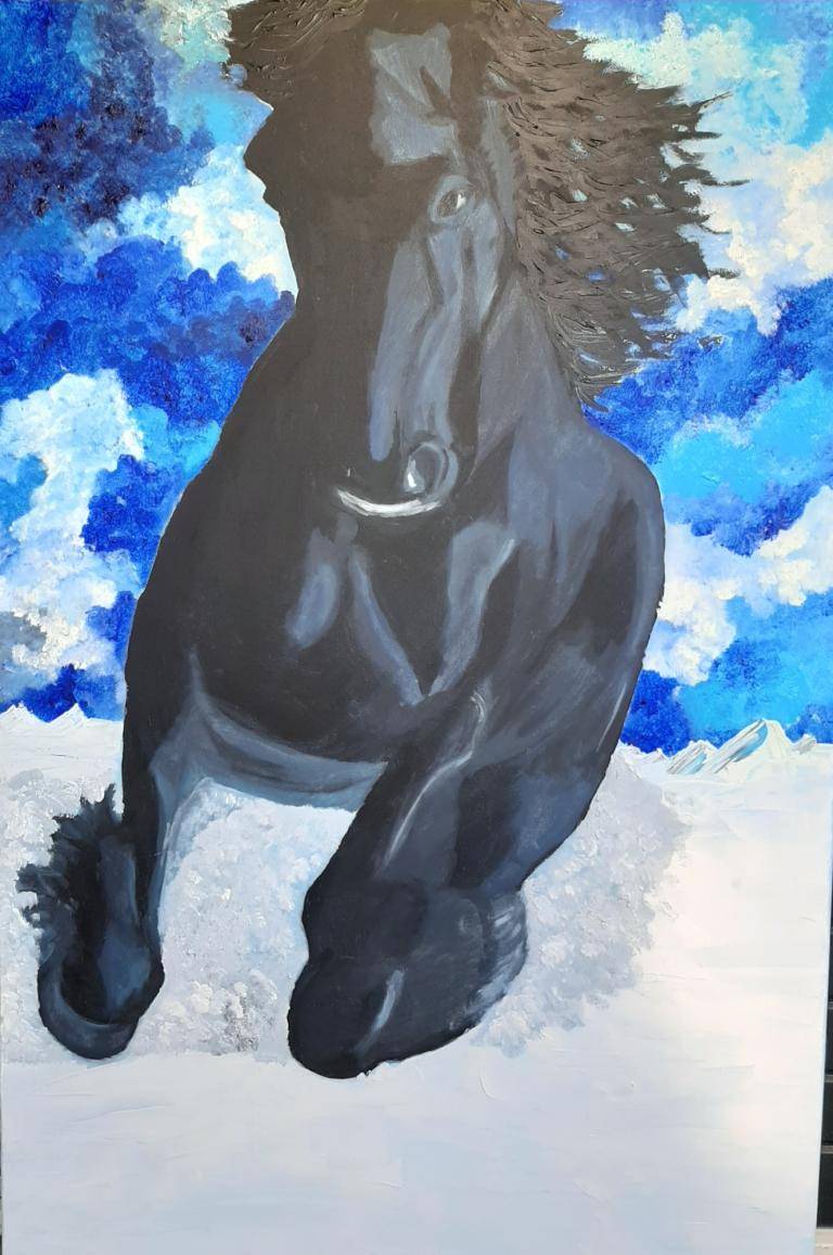 Black horse image