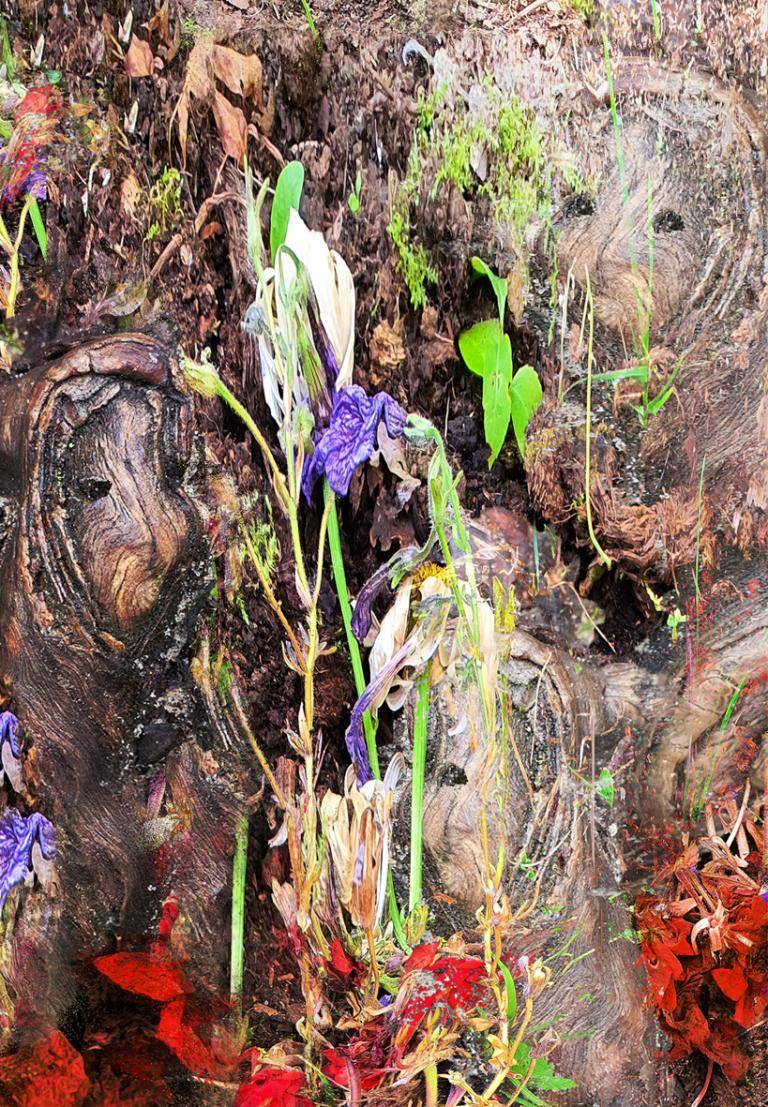 People and Flowers are one and the same image