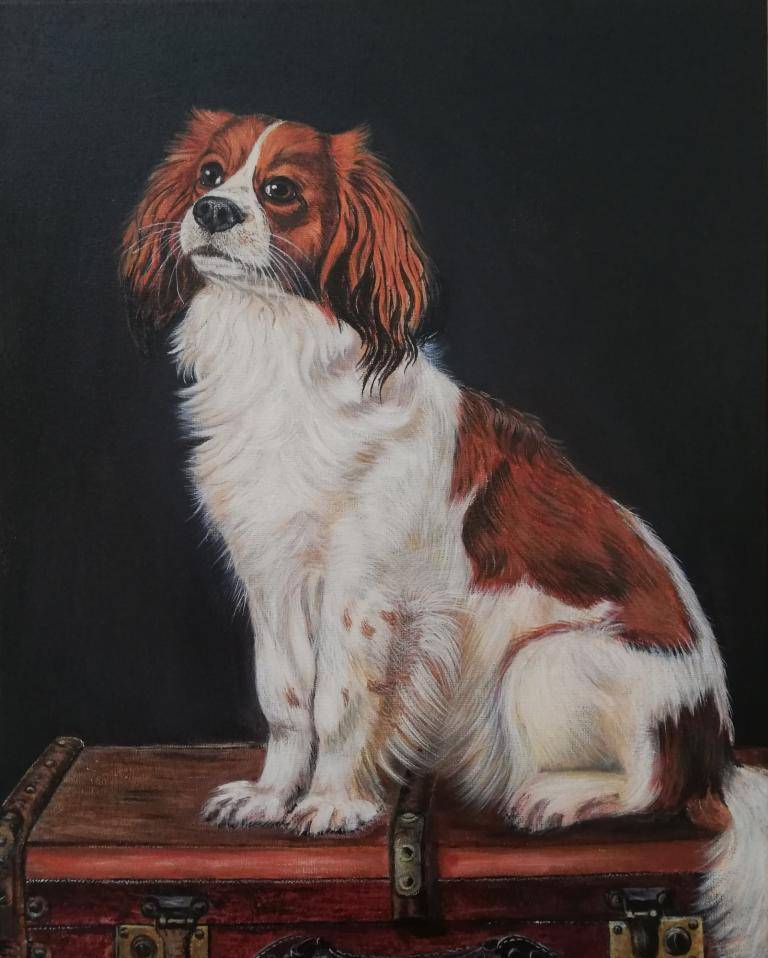 The Kooikerhondje image