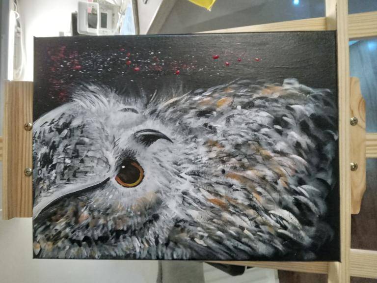 Wise old owl image