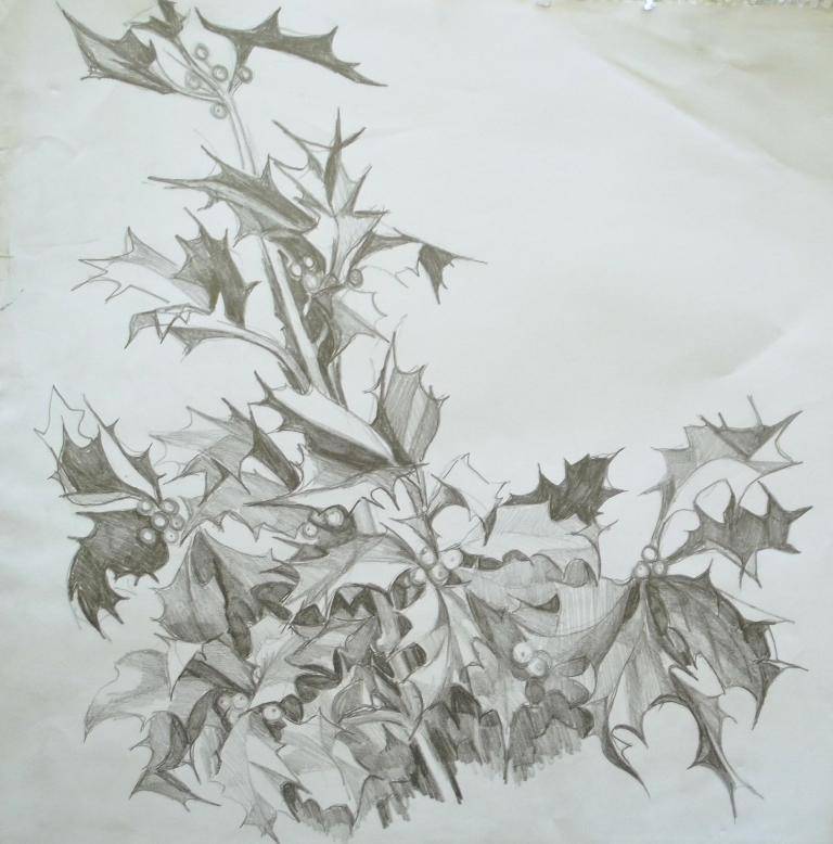 Holly image
