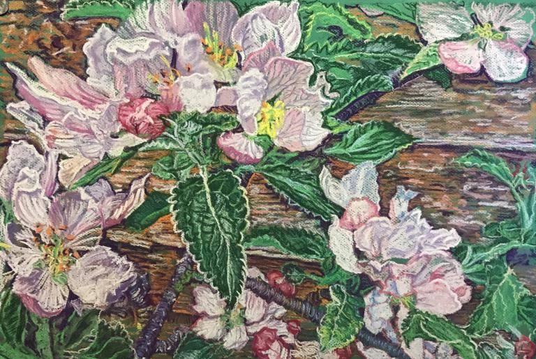 Apple Tree Blossom image