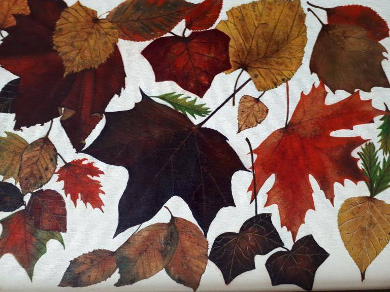 Herfstblaadjes image