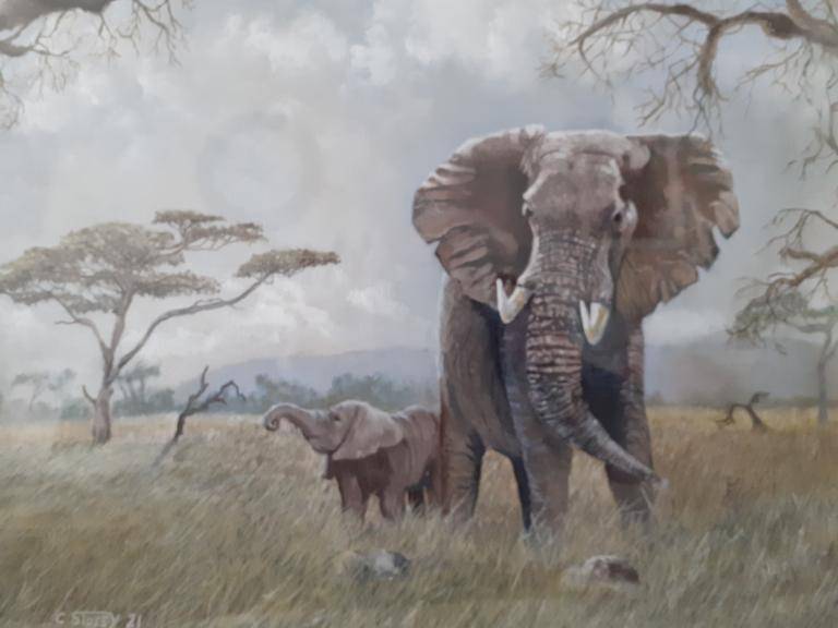 Serengeti  image