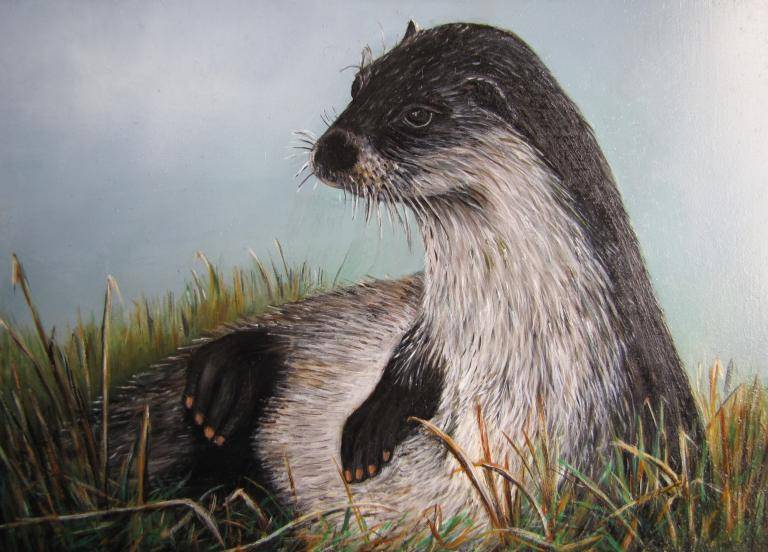 Ottertje image