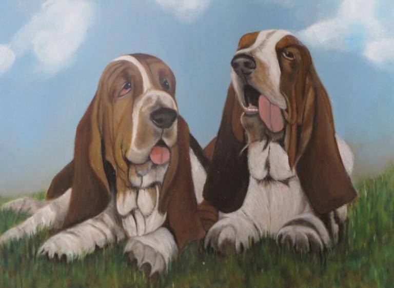 Hush Puppies image
