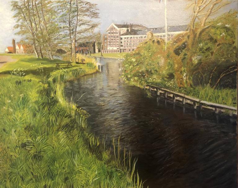 Sloot langs de stommeerkade, Aalsmeer. image