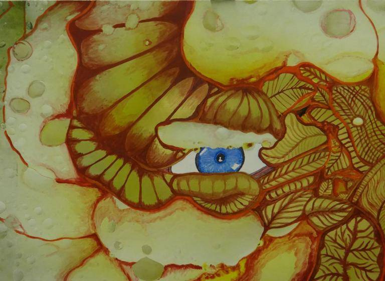 Flowers of Armageddon Series....The Golden Splendour Lily. image