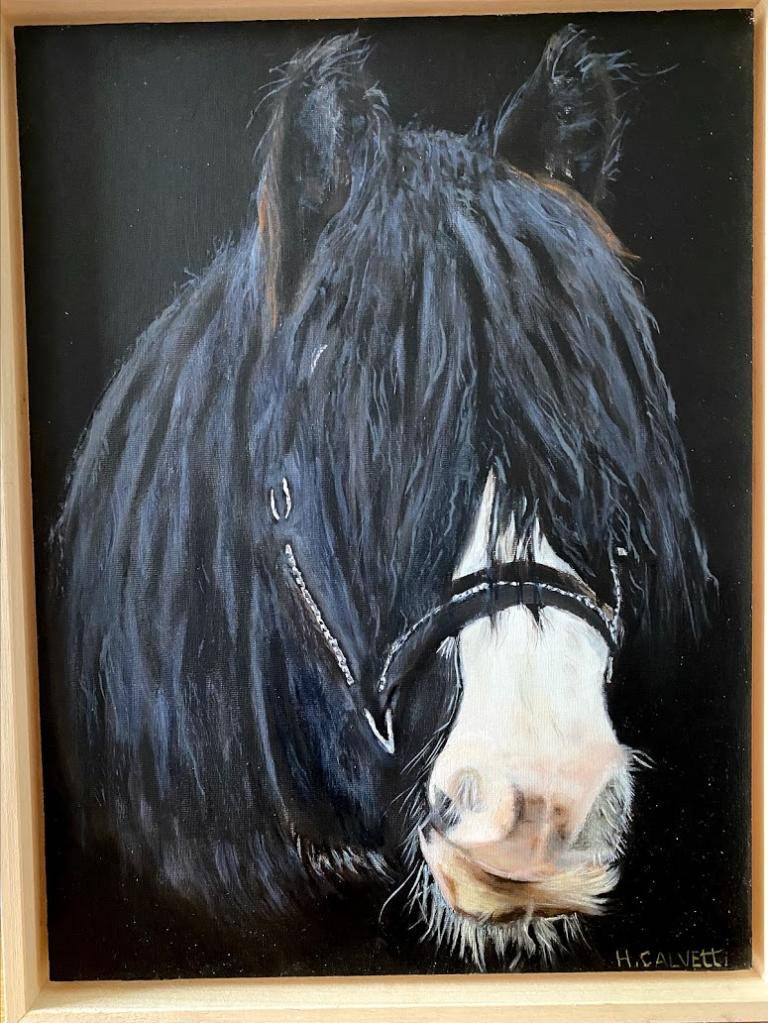 Paard Bob. image