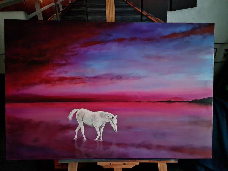 White horse  image