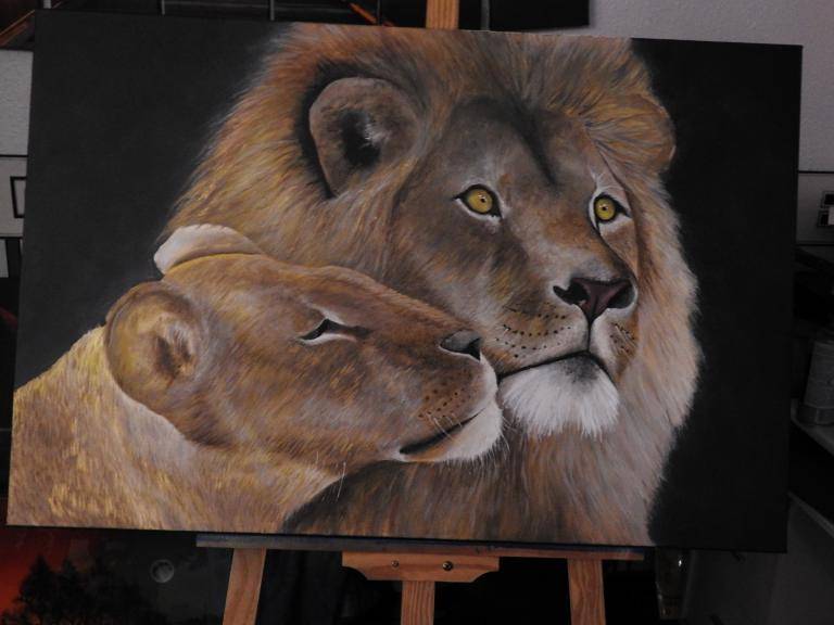 A lions love image