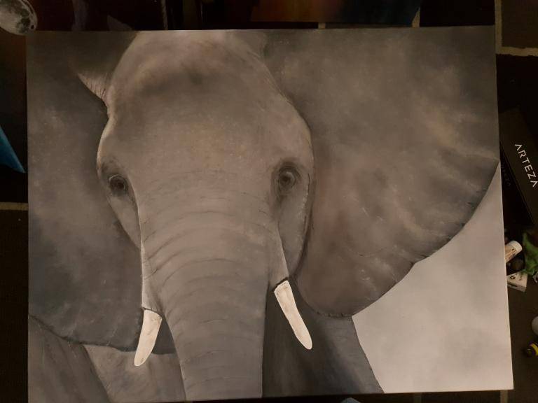 Elephant  image